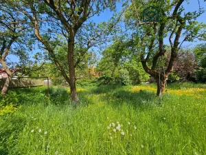 Prodej rodinného domu, Rumburk - Rumburk 1, Jitřní, 250 m2