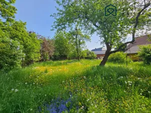 Prodej rodinného domu, Rumburk - Rumburk 1, Jitřní, 250 m2