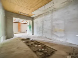 Prodej komerční nemovitosti, Holetín, 400 m2