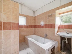 Prodej komerční nemovitosti, Holetín, 400 m2