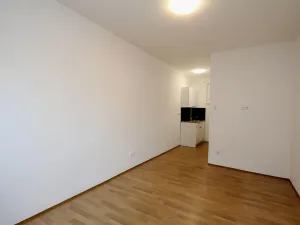 Pronájem bytu 1+kk, Pardubice - Rosice, generála Svobody, 21 m2