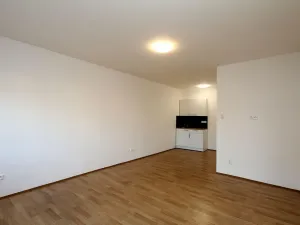 Pronájem bytu 1+kk, Pardubice - Rosice, generála Svobody, 29 m2