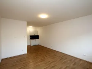 Pronájem bytu 1+kk, Pardubice - Rosice, generála Svobody, 29 m2