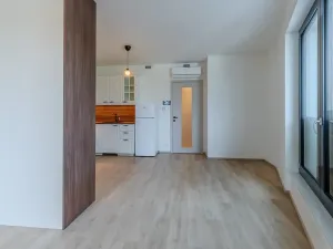 Pronájem bytu 1+kk, Praha - Žižkov, Malešická, 39 m2