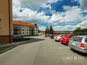 Prodej bytu 3+1, Mladá Vožice, Souhradí, 63 m2