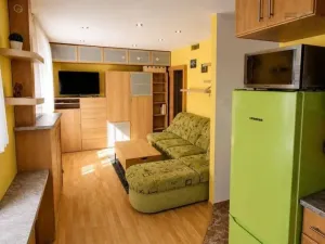 Prodej bytu 1+kk, Praha - Zbraslav, Elišky Přemyslovny, 35 m2