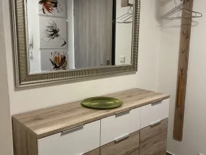 Pronájem bytu 2+kk, Plzeň - Východní Předměstí, Pallova, 46 m2