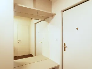 Pronájem bytu 1+kk, Praha - Košíře, Česká, 43 m2