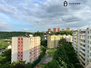 Pronájem bytu 1+1, Brno, Ulička, 33 m2