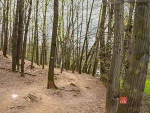 Pronájem bytu 2+kk, Praha - Hodkovičky, Pod lysinami, 41 m2