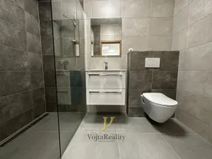 Pronájem bytu 1+kk, Olomouc - Hodolany, Elišky Krásnohorské, 45 m2