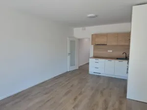 Pronájem bytu 2+kk, Jihlava - Horní Kosov, Slovenská, 55 m2