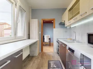 Pronájem bytu 4+1, Hodonín, Cihlářská čtvrť, 77 m2