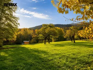 Prodej zahrady, Brusné, 4483 m2