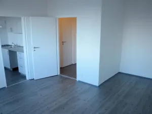 Pronájem bytu 1+1, Ostrava - Zábřeh, Písečná, 32 m2