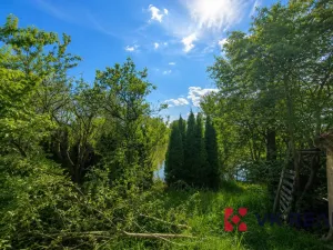 Prodej chaty, Blížejov - Chotiměř, 33 m2