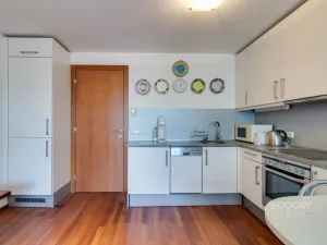 Pronájem bytu 1+kk, Praha - Vysočany, Paříkova, 27 m2