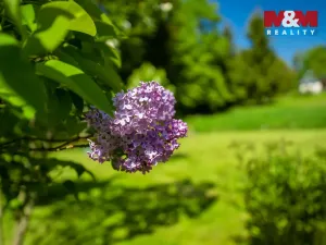 Prodej rodinného domu, Nové Město pod Smrkem - Hajniště, 266 m2