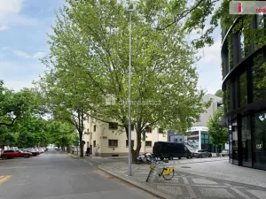 Prodej bytu 2+1, Praha - Karlín, Pernerova, 44 m2