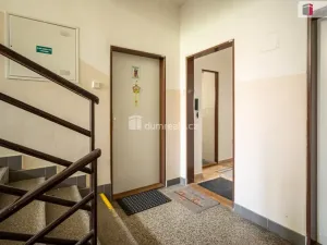 Prodej bytu 2+1, Praha - Karlín, Pernerova, 44 m2