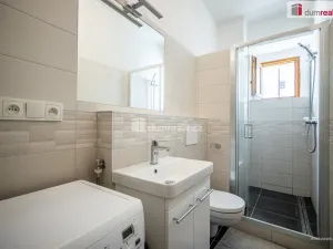 Prodej bytu 2+1, Praha - Karlín, Pernerova, 44 m2