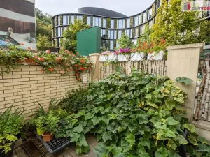 Prodej bytu 2+1, Praha - Karlín, Pernerova, 44 m2