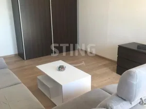 Pronájem bytu 1+1, Frýdek-Místek, J. E. Purkyně, 35 m2