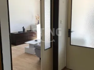 Pronájem bytu 1+1, Frýdek-Místek, J. E. Purkyně, 35 m2