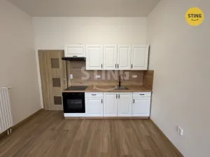 Pronájem bytu 1+kk, Prostějov, Žižkovo nám., 43 m2