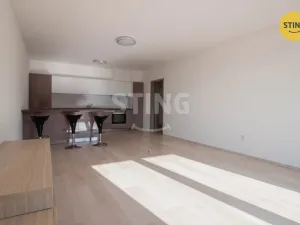 Pronájem bytu 1+kk, Jihlava, Halasova, 43 m2