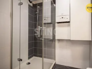 Pronájem bytu 1+kk, Jihlava, Halasova, 43 m2