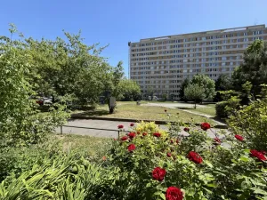 Pronájem bytu 1+1, Praha, Jílovská, 42 m2