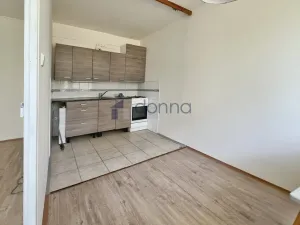 Pronájem bytu 1+1, Praha, Jílovská, 42 m2