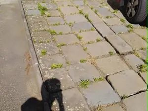 Pronájem garáže, Držovice, 20 m2