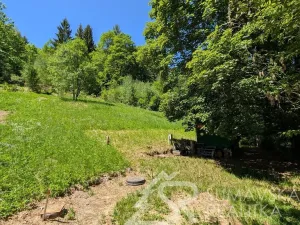 Prodej pozemku, Rejštejn - Klášterský Mlýn, 2979 m2