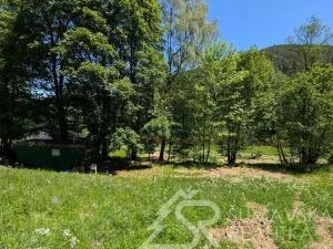 Prodej pozemku, Rejštejn - Klášterský Mlýn, 2979 m2