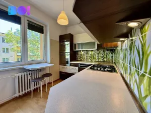 Pronájem bytu 3+1, Český Těšín, Hrabinská, 61 m2