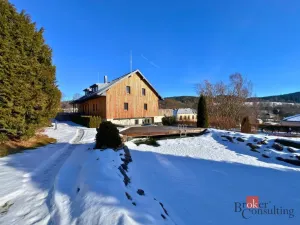 Prodej komerčního pozemku, Želnava, 1110 m2