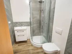 Pronájem bytu 1+kk, Čistá, 45 m2