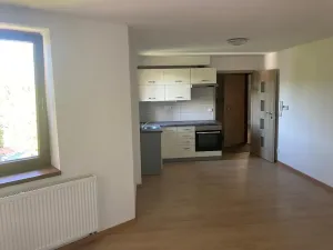 Pronájem bytu 1+1, Liberec, Šlikova, 38 m2