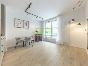 Pronájem bytu 1+kk, Praha, Krymská, 24 m2