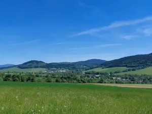 Prodej pozemku pro bydlení, Červená Voda, 1251 m2