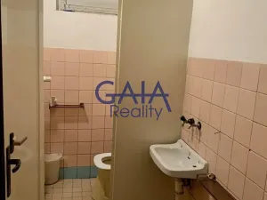Pronájem obchodního prostoru, Strážnice, Kostelní, 56 m2