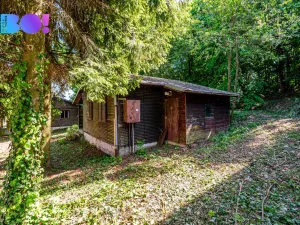 Prodej restaurace, Hranice - Hranice VIII-Středolesí, 1098 m2