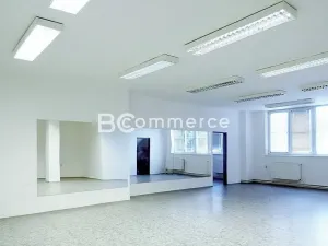 Pronájem ordinace, Brno, 90 m2