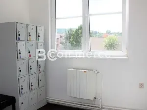 Pronájem ordinace, Brno, 90 m2