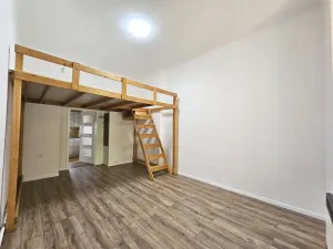 Pronájem bytu 1+1, Praha - Vinohrady, Mánesova, 28 m2