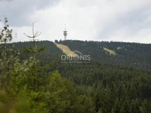 Prodej chalupy, Loučná pod Klínovcem - Háj, 380 m2