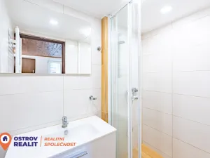 Prodej chaty, Kosov, 29 m2
