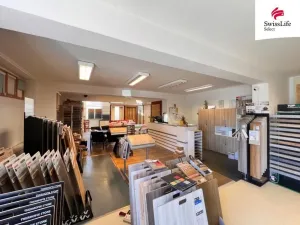 Pronájem obchodního prostoru, Plzeň, Wenzigova, 270 m2